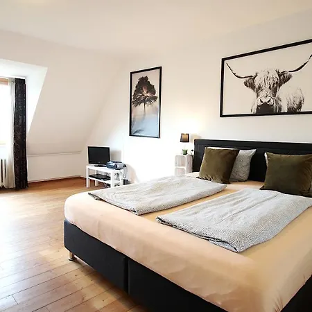 Zentrale Stadtwohnung - Direkt Am Main, Park-ausblick Lägenhet